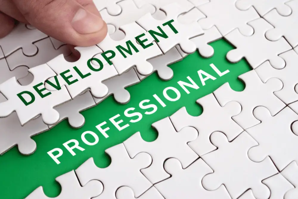 Level 3 Diploma in Employability and Professional Development Skills